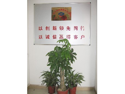 公司環境